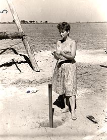 socolovaexp.jpg (27168 bytes)
