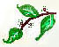 vetkamalaja.jpg (8191 bytes)